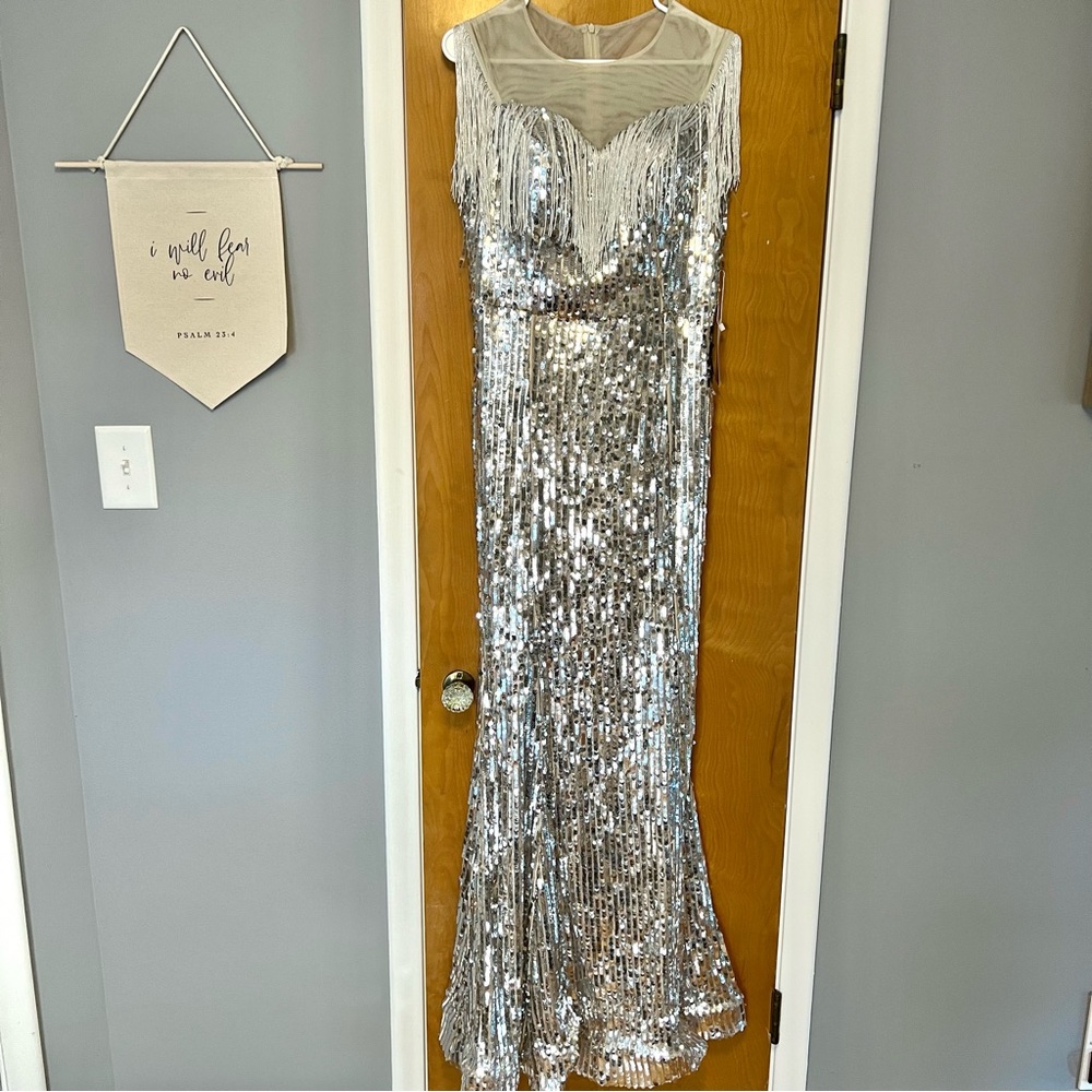 Oze Collection - Women’s NEW Silver & Sheer Fringe Maxi Party Dress